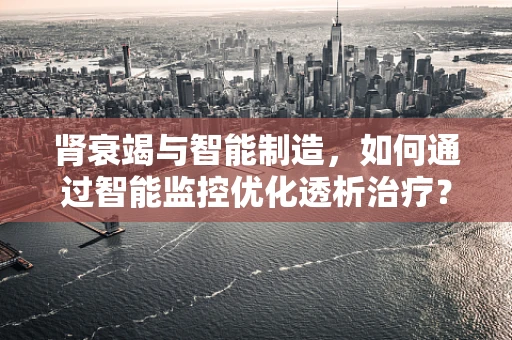 肾衰竭与智能制造，如何通过智能监控优化透析治疗？