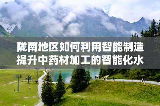 陇南地区如何利用智能制造提升中药材加工的智能化水平？