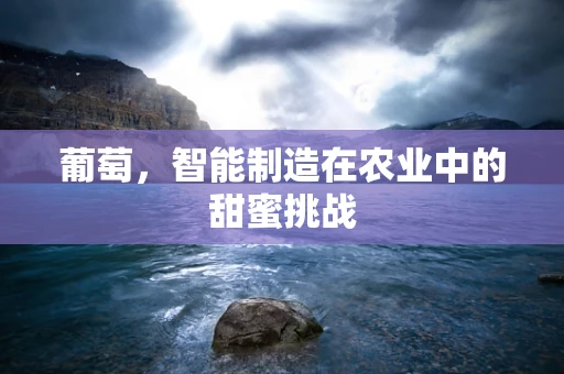 葡萄，智能制造在农业中的甜蜜挑战