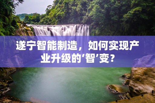 遂宁智能制造，如何实现产业升级的‘智’变？