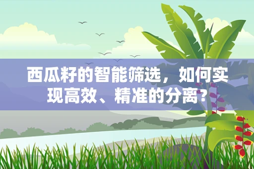 西瓜籽的智能筛选，如何实现高效、精准的分离？