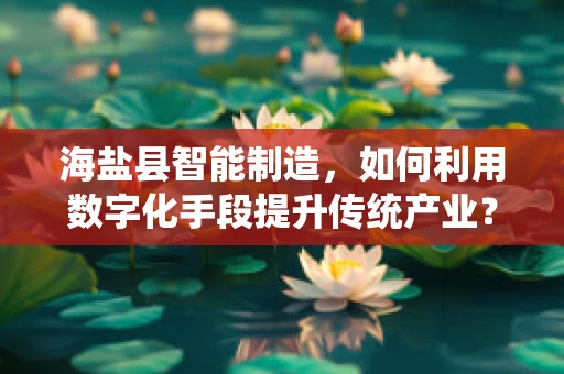 海盐县智能制造，如何利用数字化手段提升传统产业？