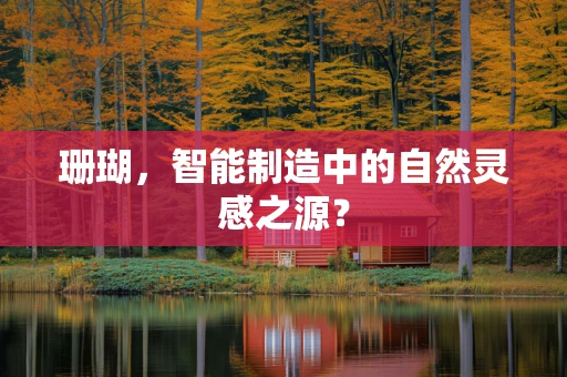 珊瑚，智能制造中的自然灵感之源？