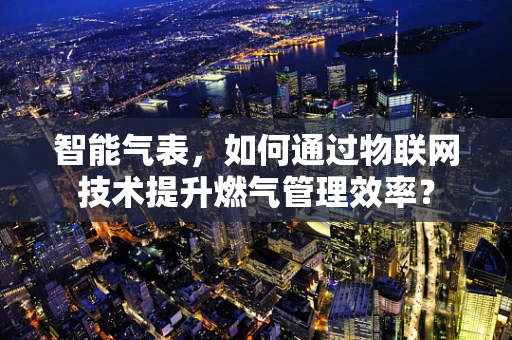 智能气表，如何通过物联网技术提升燃气管理效率？