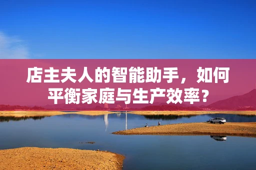 店主夫人的智能助手，如何平衡家庭与生产效率？