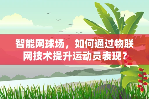 智能网球场，如何通过物联网技术提升运动员表现？