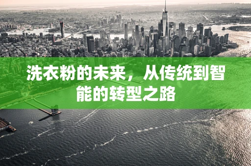 洗衣粉的未来，从传统到智能的转型之路