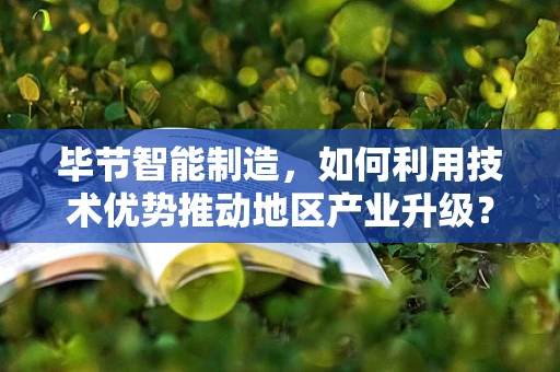 毕节智能制造，如何利用技术优势推动地区产业升级？